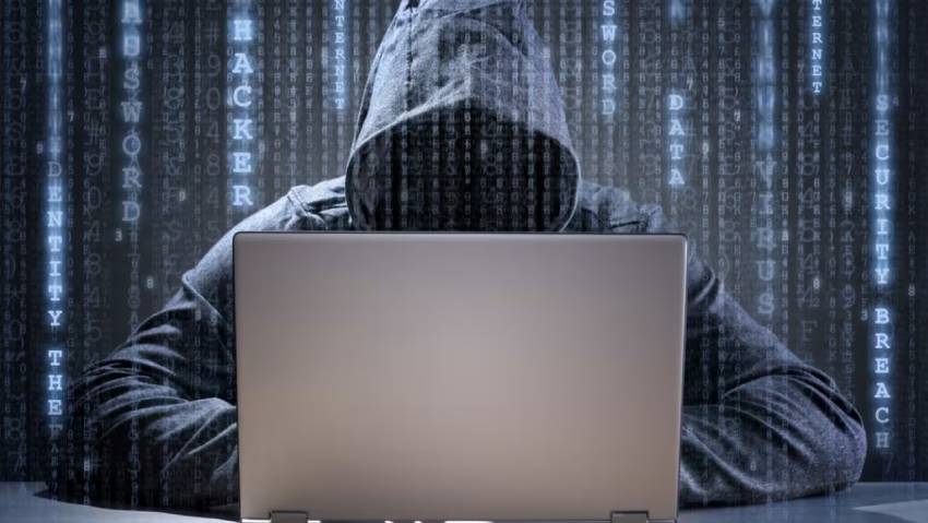 通州区小程序定制开发：.NET的利刃与暗礁